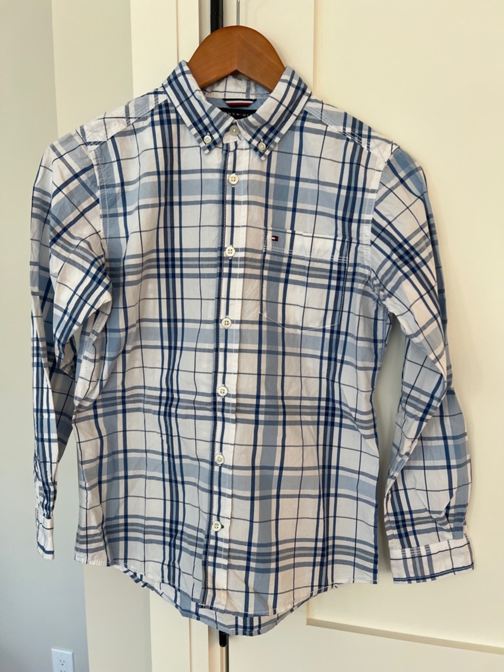 Tommy Hilfiger Youth Light & Navy Blue Plaid Button-Down Shirt